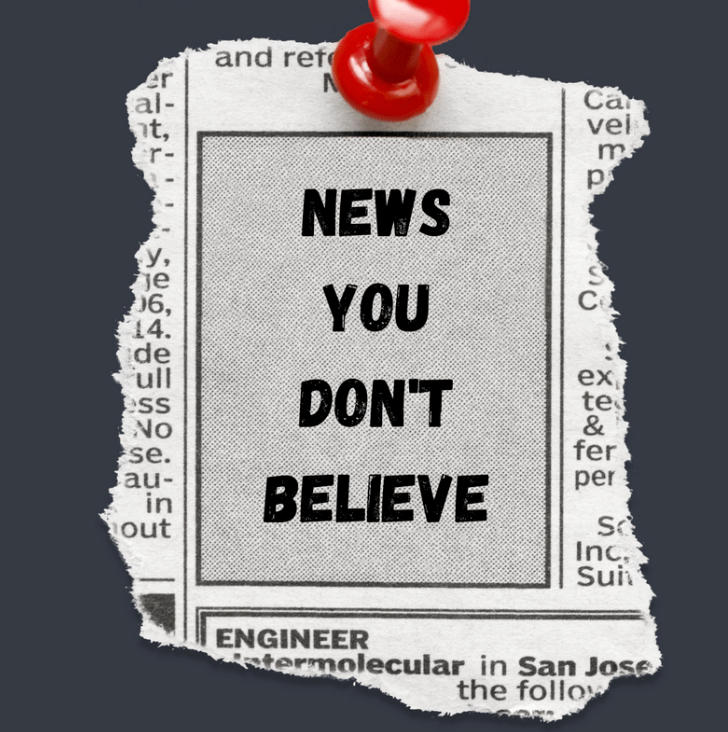 “News you don’t believe” – Audience perspectives on fake news